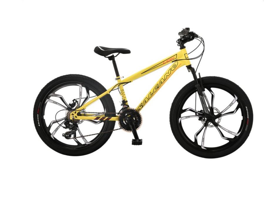 Salcano Lion 24 MD Monoblok Jant Çocuk Dağ Bisikleti Sarı Siyah