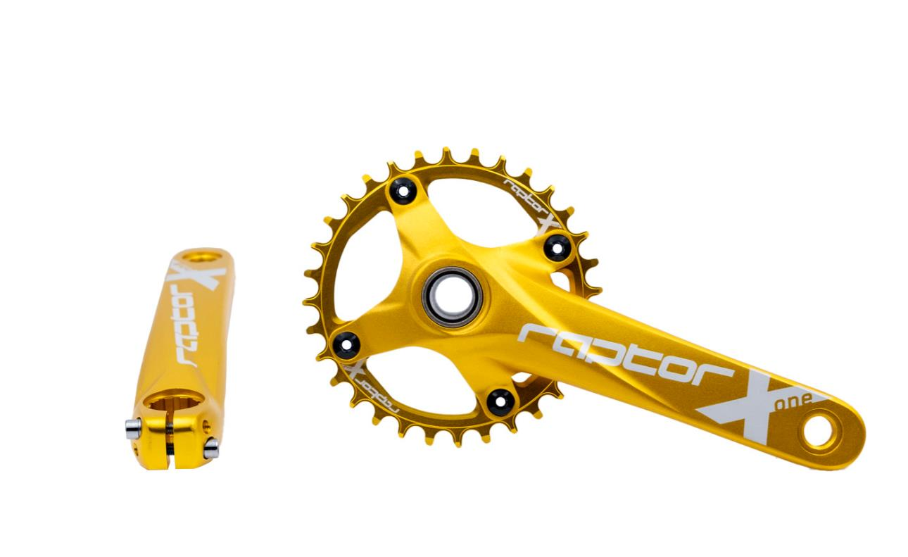 RAPTOR - Aynakol - A28Z-AS322 - 32T 170mm - Gold