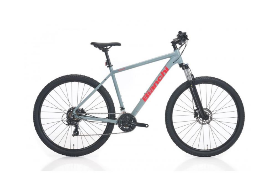 Bianchi Magma 29.3 - 29 Jant 48cm Gri Kırmızı Dağ Bisikleti