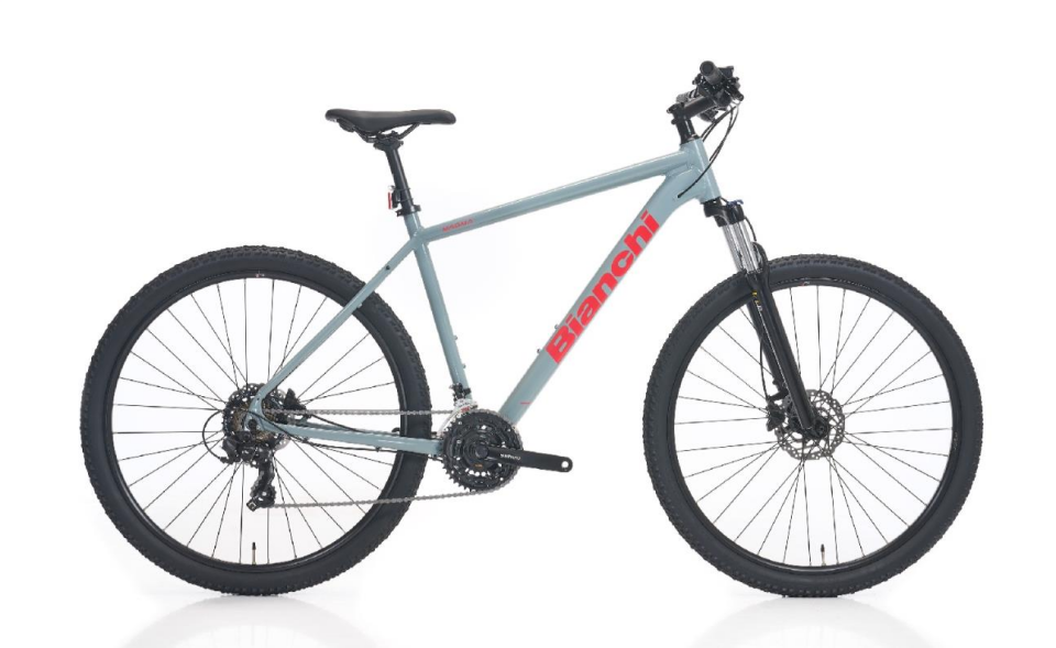 Bianchi Magma 29.3 - 29 Jant 48cm Gri Kırmızı Dağ Bisikleti