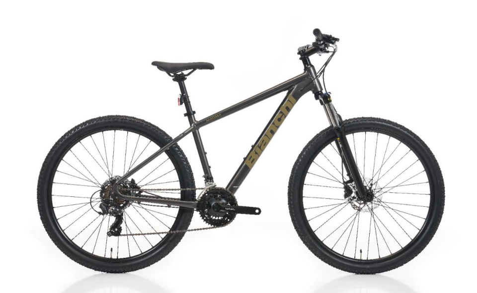 Bianchi Magma 27.3 27.5 Jant 21 Vites Tourney 43 Cm Gri Bakır Renk  Dağ Bisikleti