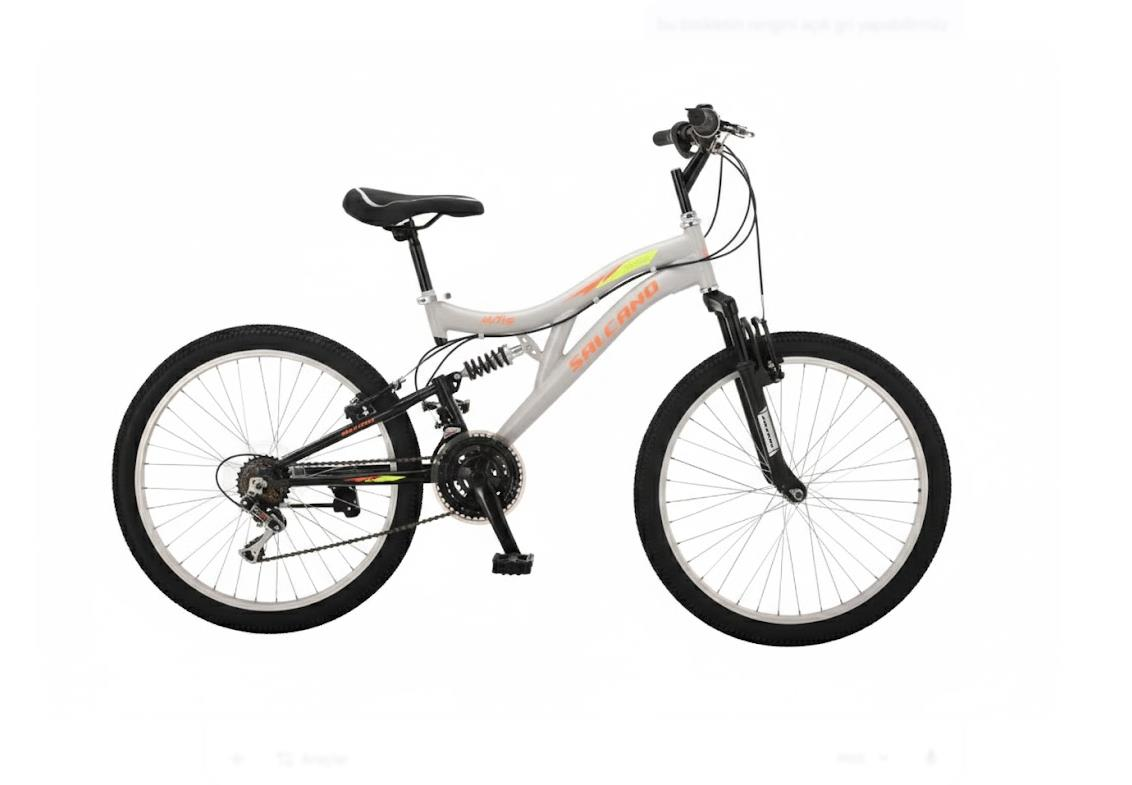 Salcano Hector 24V Açık Gri Turuncu Sarı Dağ Bisikleti