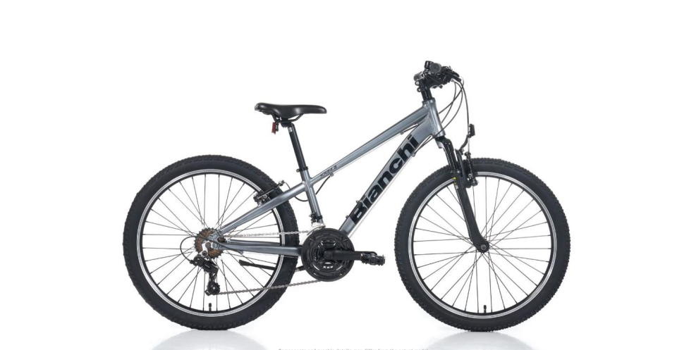 Bianchi XR24 33CM 24 jant 21 Vites Carina Silver Çocuk Dağ Bisikleti